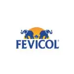 Fevicol